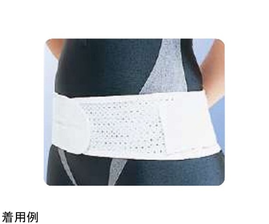 アシスト ツインベルト L 00312 1本(ご注文単位1本)【直送品】