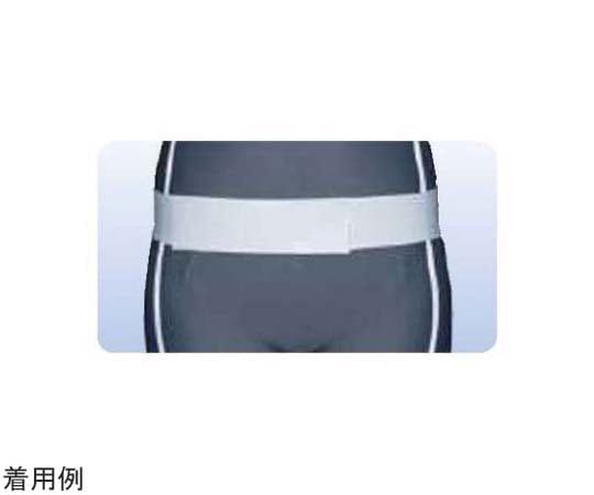 アシスト 万能ゴムベルト ホワイト S 02545 1本（ご注文単位1本）【直送品】