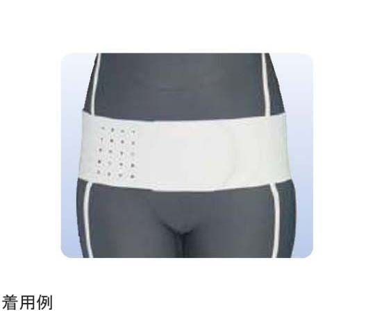 アシスト 骨盤バンド ホワイト L 01627 1本（ご注文単位1本）【直送品】