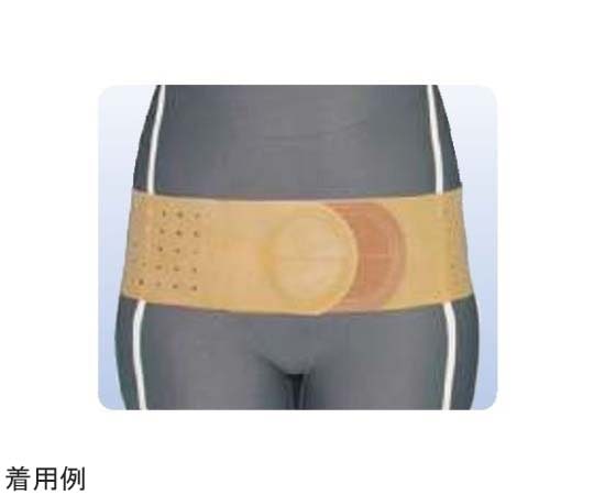 アシスト 丸型骨盤バンド ブラウン M 18302 1本（ご注文単位1本）【直送品】