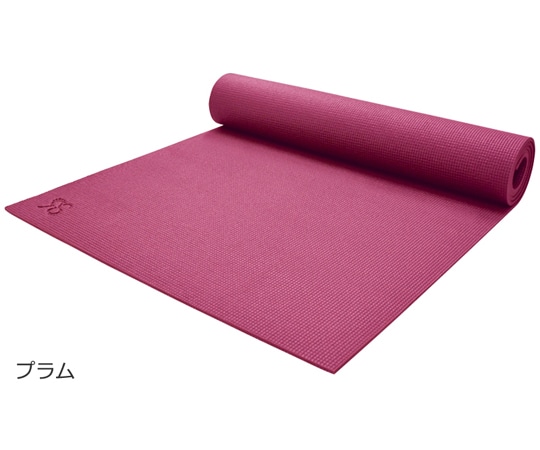 BAJ RS ヨガマット Plum (6mm) RSG004 1個(ご注文単位1個)【直送品】