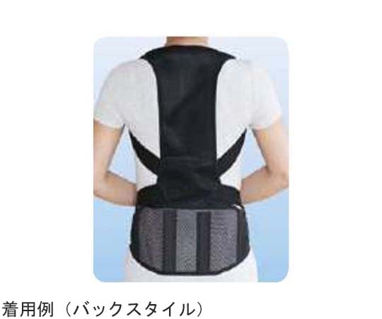 アシスト 背筋すっきりベルトDX ブラック SM 27800 1本（ご注文単位1本）【直送品】
