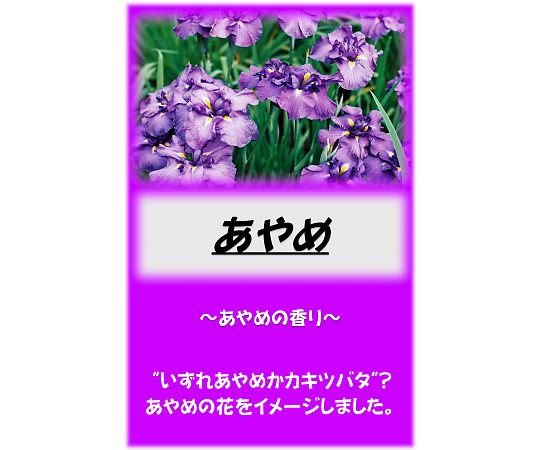 アサヒ商会 アサヒ入浴剤 あやめ 10kg 1箱(ご注文単位1箱)【直送品】