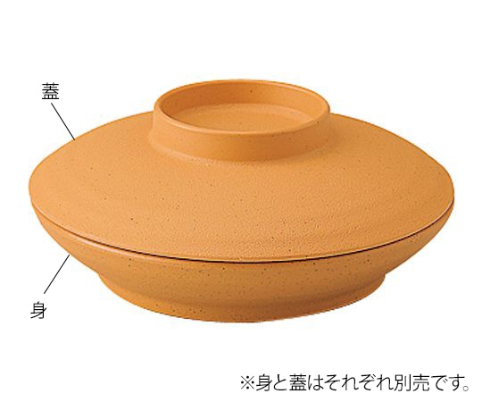 信濃化学工業 業務用樹脂食器 凛 深皿 身 こはく 5009-KK 1個(ご注文単位1個)【直送品】