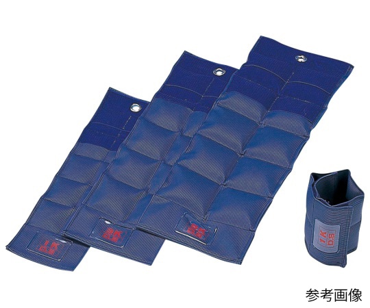淡野製作所 リハビリ用重錘バンド 2kg D-304 1個(ご注文単位1個)【直送品】