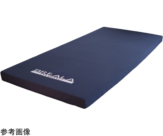 グローバル産業 ブレイラプラス ケアマットレス 910×1950×80mm BRVS-CM910R 1枚（ご注文単位1枚）【直送品】