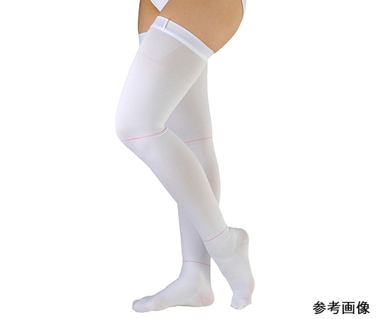 アルケア アンシルクR・プロJ ストッキング 両足 LL 17431 1箱（ご注文単位1箱）【直送品】