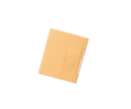 LIHITLAB これだけでお医者さんに行けるファイル 171×148 橙 HM620-4 1冊(ご注文単位1冊)【直送品】