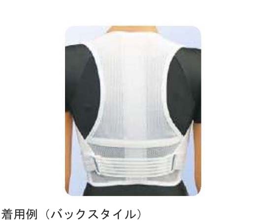 アシスト 背筋すっきりベルトワイドメッシュ(パッド付) L 00392 1本(ご注文単位1本)【直送品】