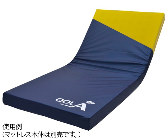 ケープ キュオラ 防水タイプ 900 専用カバー CH-595 1枚（ご注文単位1枚）【直送品】
