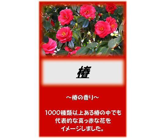 アサヒ商会 アサヒ入浴剤 椿 10kg 1箱(ご注文単位1箱)【直送品】