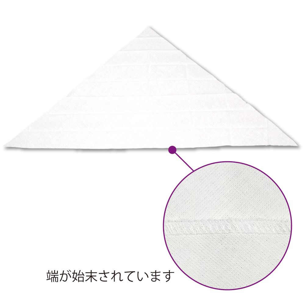 竹虎 三角きんフチトリ L 040023 1枚（ご注文単位1枚）【直送品】