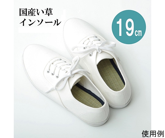 アズワン インソール ジュニア 消臭 抗菌 『い草インソール』 ネイビー 約19cm 1120290190410 1個（ご注文単位1個）【直送品】