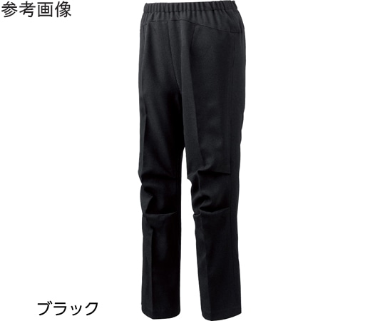 ケアファッション 座・ビューティフォーパンツ（婦人）ベージュ LL 820001 1個（ご注文単位1個）【直送品】