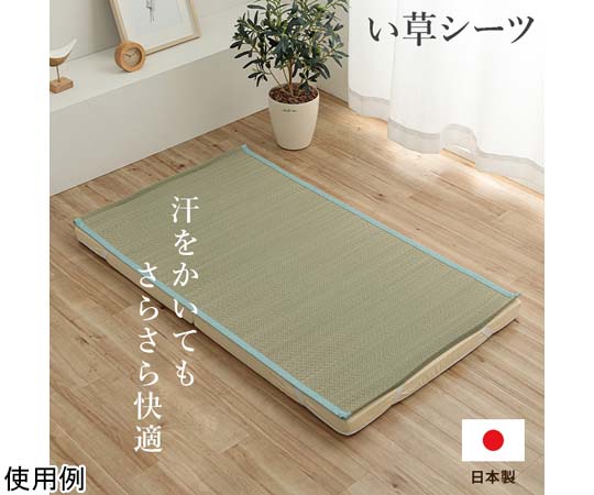 アズワン い草シーツ ブルー ベビーサイズ 約70×120cm 1122920043001 1個(ご注文単位1個)【直送品】
