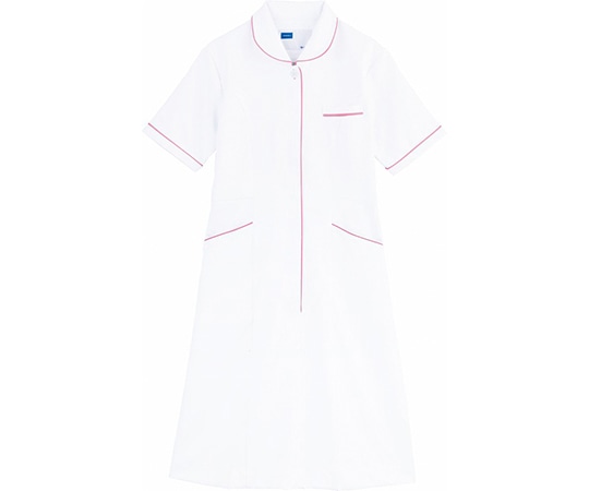 WHISEL(自重堂) ワンピース ホワイトピンク LL WH12000 1枚(ご注文単位1枚)【直送品】
