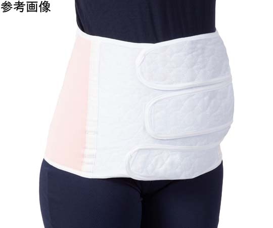 竹虎 ソフラグランゼ マタニティ LL 040835 1枚（ご注文単位1枚）【直送品】