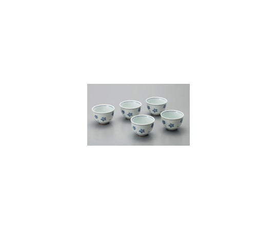いちがま 小花反煎茶 5客揃  1セット（ご注文単位1セット）【直送品】