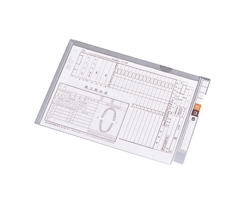 LIHITLAB カルテフォルダー（フラップ付）シングル<横型> 1箱（100枚入） HK2003 1箱（ご注文単位1箱）【直送品】
