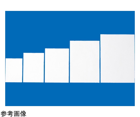 シンリョウ プリンター薬袋(無地) B5R 1箱(2000枚) 500304 1箱(ご注文単位1箱)【直送品】