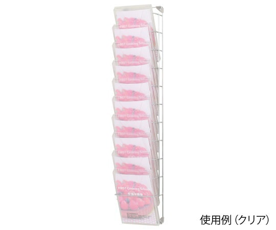 ハヤノ産業 壁掛ラック A4判 1列10段 レッド FPRW-101S-RE 1個（ご注文単位1個）【直送品】
