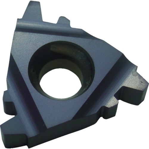 トラスコ中山 NOGA Carmexねじ切り用チップ TRAPEZ/台形ねじ用 チップサイズ22×P5.0×30° 403-5003(ご注文単位10個)【直送品】