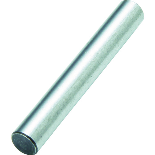 トラスコ中山 TRUSCO 強力ドレッサーホルダ DH-265用ピン 10本入(ご注文単位1袋)【直送品】