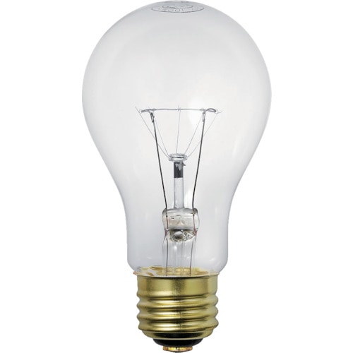 トラスコ中山 ELPA 耐振球100W(ご注文単位1個)【直送品】