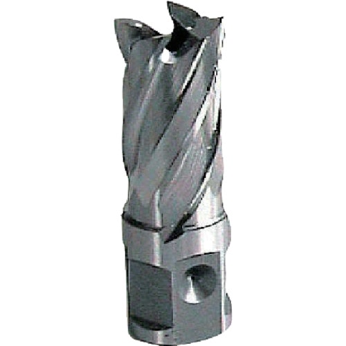 トラスコ中山 大見 25SQハイスカッター 12.0mm(ご注文単位1個)【直送品】