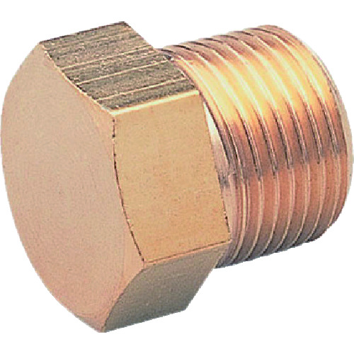 トラスコ中山 ASOH 六角プラグ PT1/4(RoHS)(ご注文単位1個)【直送品】