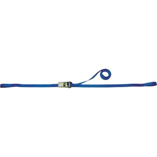 トラスコ中山 TESAC ラッシングベルト(ベルト荷締機)ラチェットバックル式アイタイプ 433-3969(ご注文単位1台)【直送品】