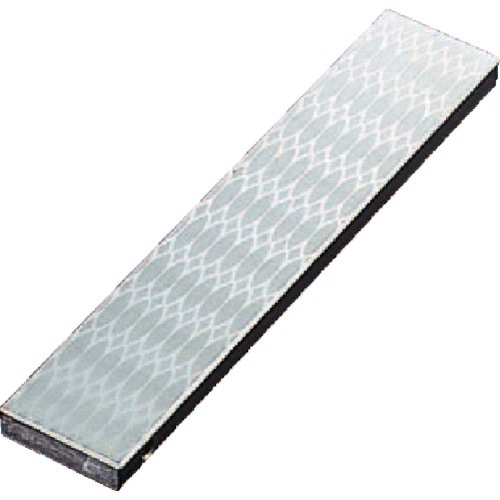 トラスコ中山 TRUSCO チップストーン 150X30X8 粗仕上用 #170(ご注文単位1個)【直送品】