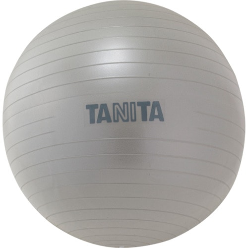 トラスコ中山 TANITA TANITA ジムボール TS-962-SV(ご注文単位1個)【直送品】