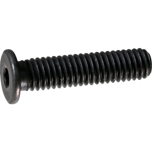 トラスコ中山 TRUSCO 超低頭キャップボルト スチール黒染め M4×10 11本入 /六角穴付ボルト(CAP) (ご注文単位 1パック)【直送品】