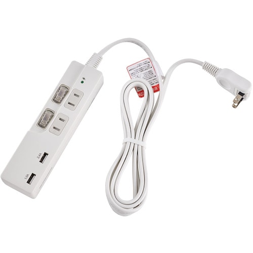 トラスコ中山 ELPA SW付USBタップ2P 601-6627 (ご注文単位1パック) 【直送品】