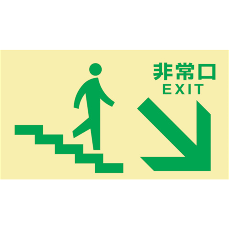 緑十字 高輝度蓄光避難誘導標識 非常口(階段右下) TKN109 130×230 東京都条例適合品 1枚（ご注文単位1枚）【直送品】