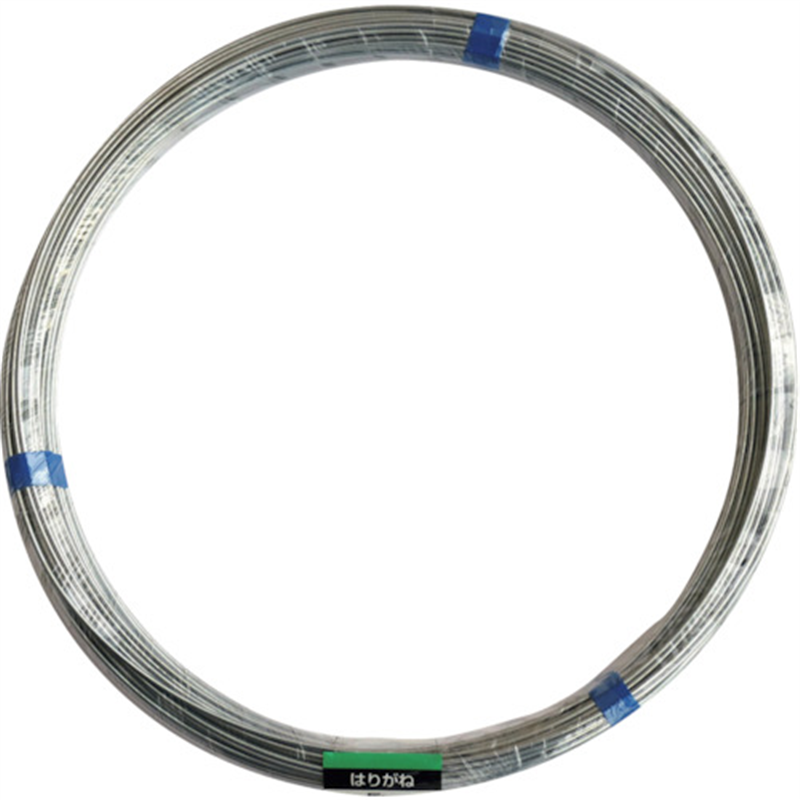DAIDOHANT 針金 5Kg巻 #10 1巻(ご注文単位1巻)【直送品】