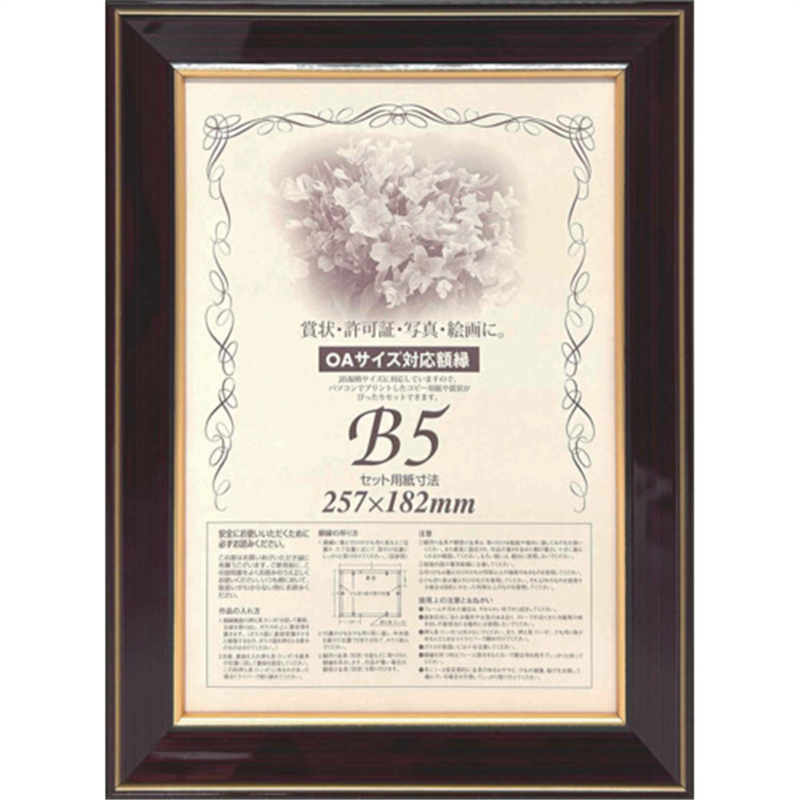 大額 額縁 賞状額 ネオ光輝 OA-B5 0142 1枚(ご注文単位1枚)【直送品】