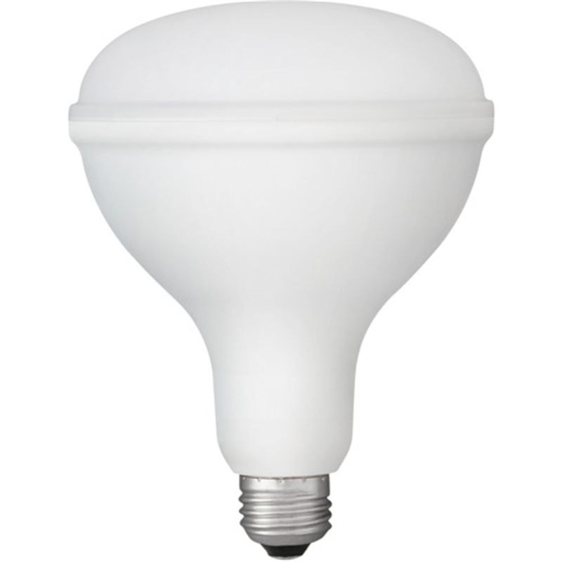 IRIS 107944 PROLEDS LED電球 投光器用 2000lm 1個(ご注文単位1個)【直送品】