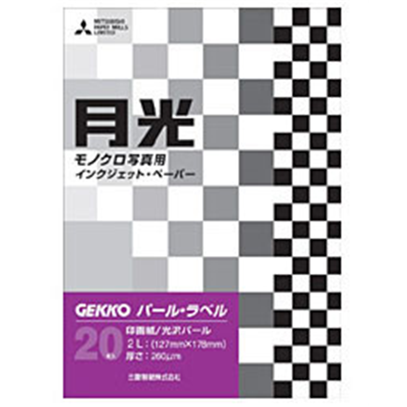 ピクトリコ GEKKO パール・ラベル(2L・20枚) GKN-2L/20 GKN-2L/20 GKN2L20 1個(ご注文単位1個)【直送品】