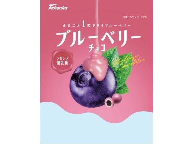 高岡食品工業ブルーベリーチョコ90g※軽(ご注文単位12個)【直送品】