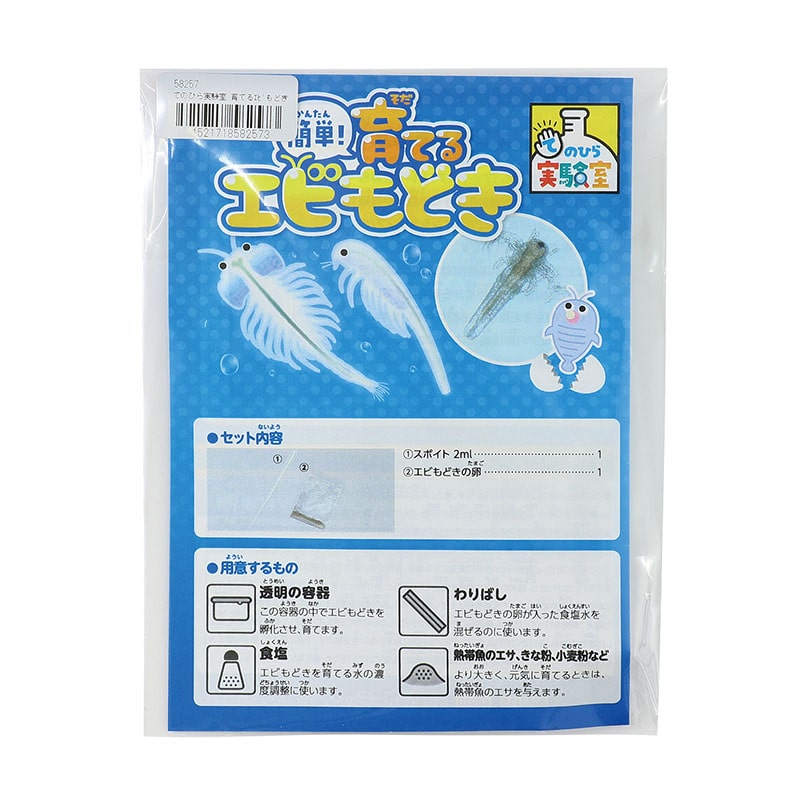 ㈱アーテックてのひら実験室 育てるエビもどき(袋タイプ) 1個(ご注文単位1個)【直送品】