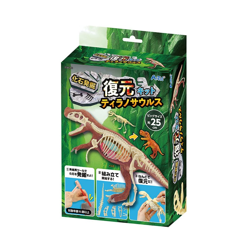 ㈱アーテック 化石発掘復元キット ティラノサウルス1セット(ご注文単位1セット)【直送品】