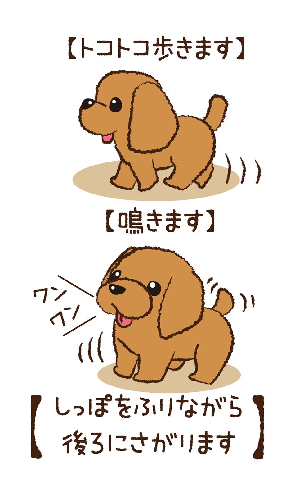 ㈱アーテック トコトコあるくよ なかよしプードル1個(ご注文単位1個)【直送品】
