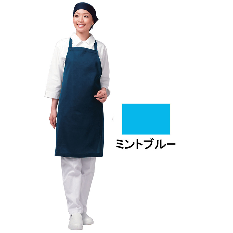 アイメッシュエプロン　たすき掛けタイプ E5200　11Tミントブルー 1箱（ご注文単位1箱）【直送品】