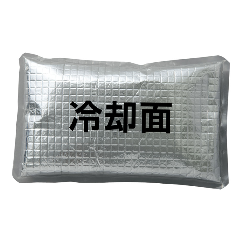 アイスベスト専用アイスパック AZ-865933-101 1袋(ご注文単位1袋)【直送品】