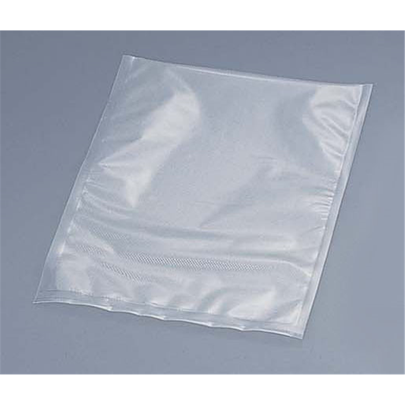 真空パック器 専用抗菌袋(20枚入) 大 EX-3008-00 1袋(ご注文単位1袋)【直送品】