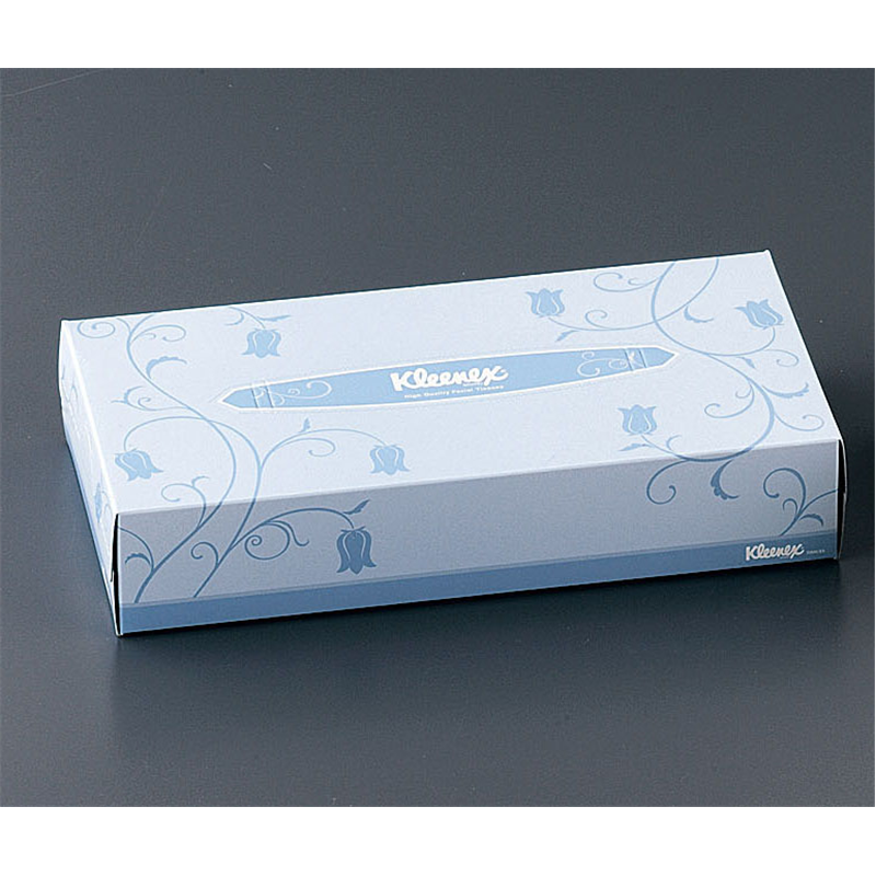 クリネックスティシュー レギュラーサイズ (1ケース60箱入) 1箱(ご注文単位1箱)【直送品】