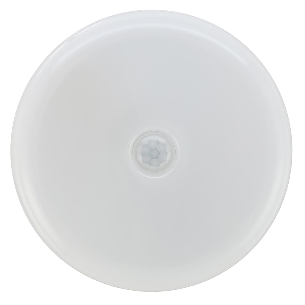 オーム電機 LEDセンサーライト 1個（ご注文単位1個）【直送品】