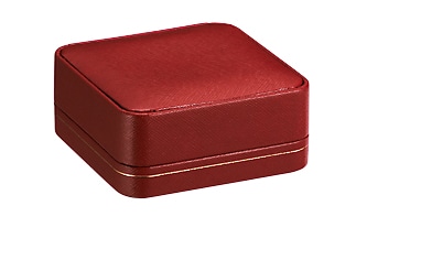 CS-06-S-RED カフス・タイピンセットケース　レッド 1個 （ご注文単位10個）【直送品】